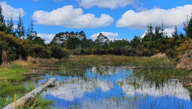  Horeke Rd, Kaikohe West