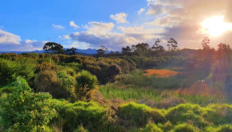  Horeke Rd, Kaikohe West