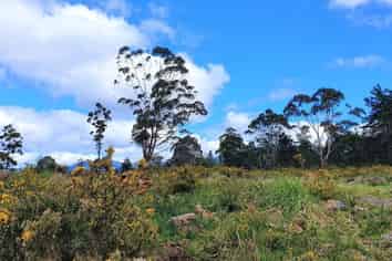  Horeke Rd, Kaikohe West