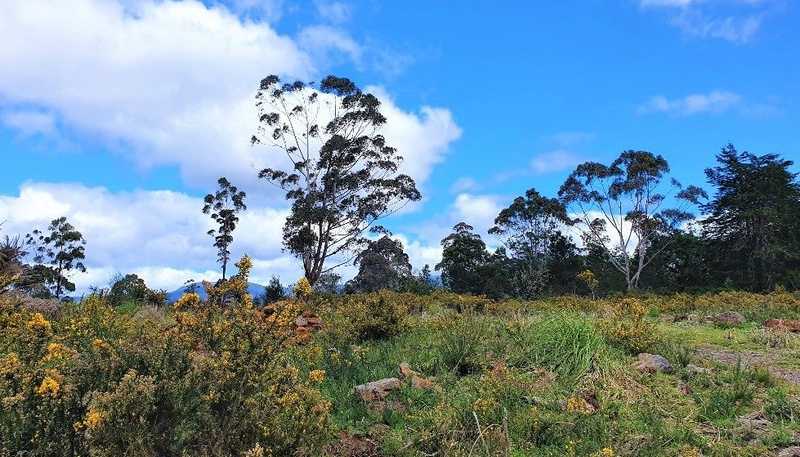  Horeke Rd, Kaikohe West