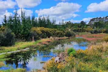  Horeke Rd, Kaikohe West