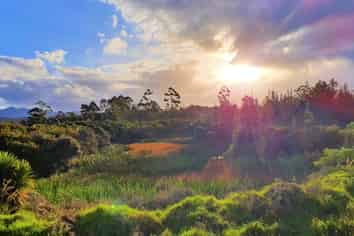  Horeke Rd, Kaikohe West