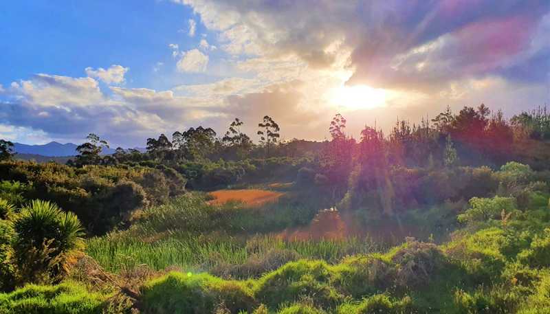  Horeke Rd, Kaikohe West