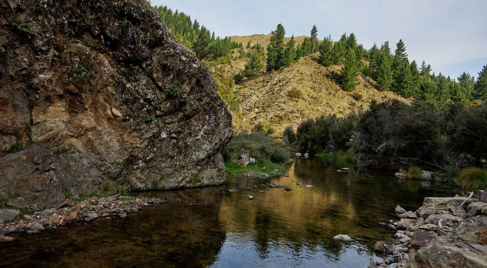 540 Spey Forest Road, Kaikoura, Kaikoura For Sale realestate.co.nz