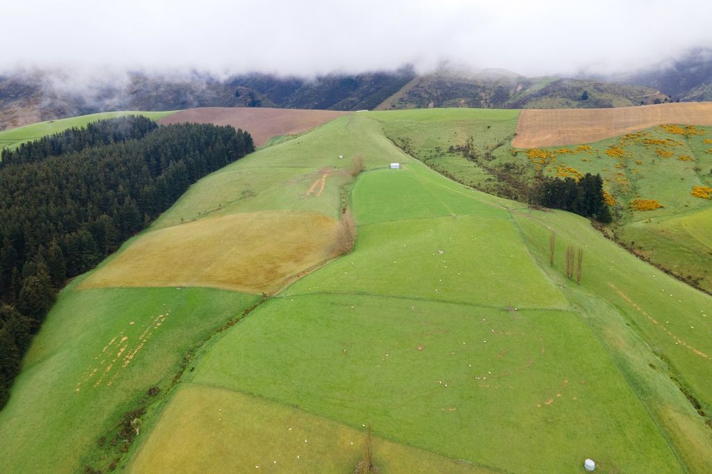 Property value 1359 Fairliegeraldine Highway, Fairlie realestate.co.nz