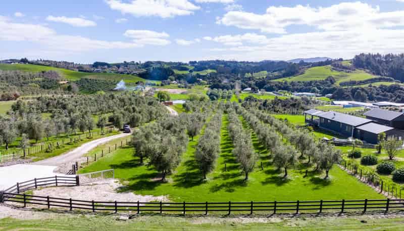 Lot 1/3 Bagnal Road, Mangawhai
