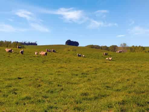 Lot 1 Maheno-Herbert Road, Maheno