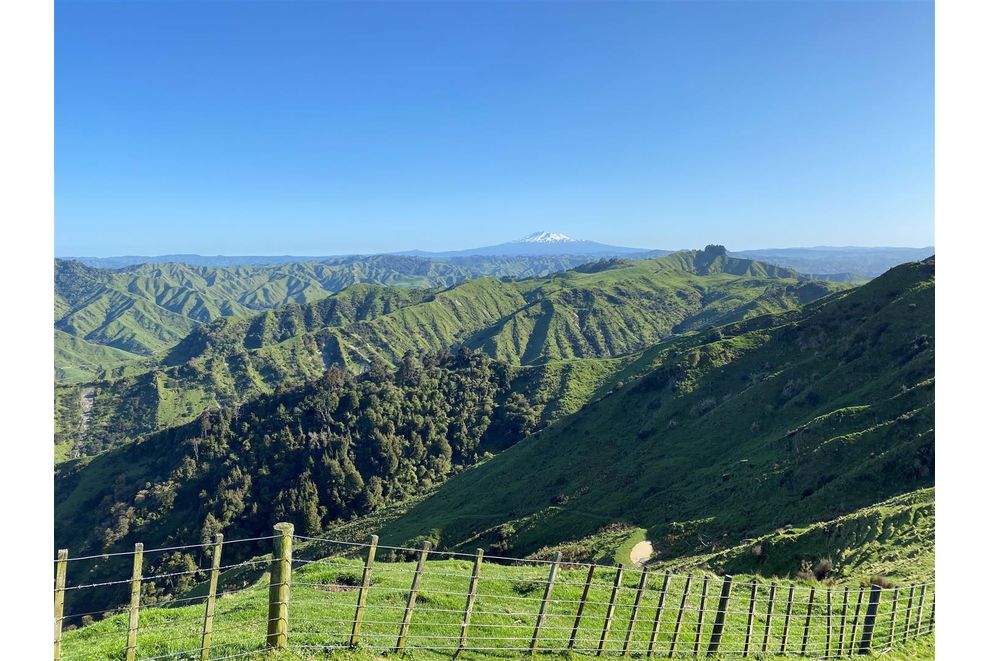 1084 Creek Road, Mangamahu, Whanganui For Sale realestate.co.nz