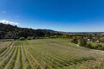 85 Brooklyn Valley Road, Riwaka
