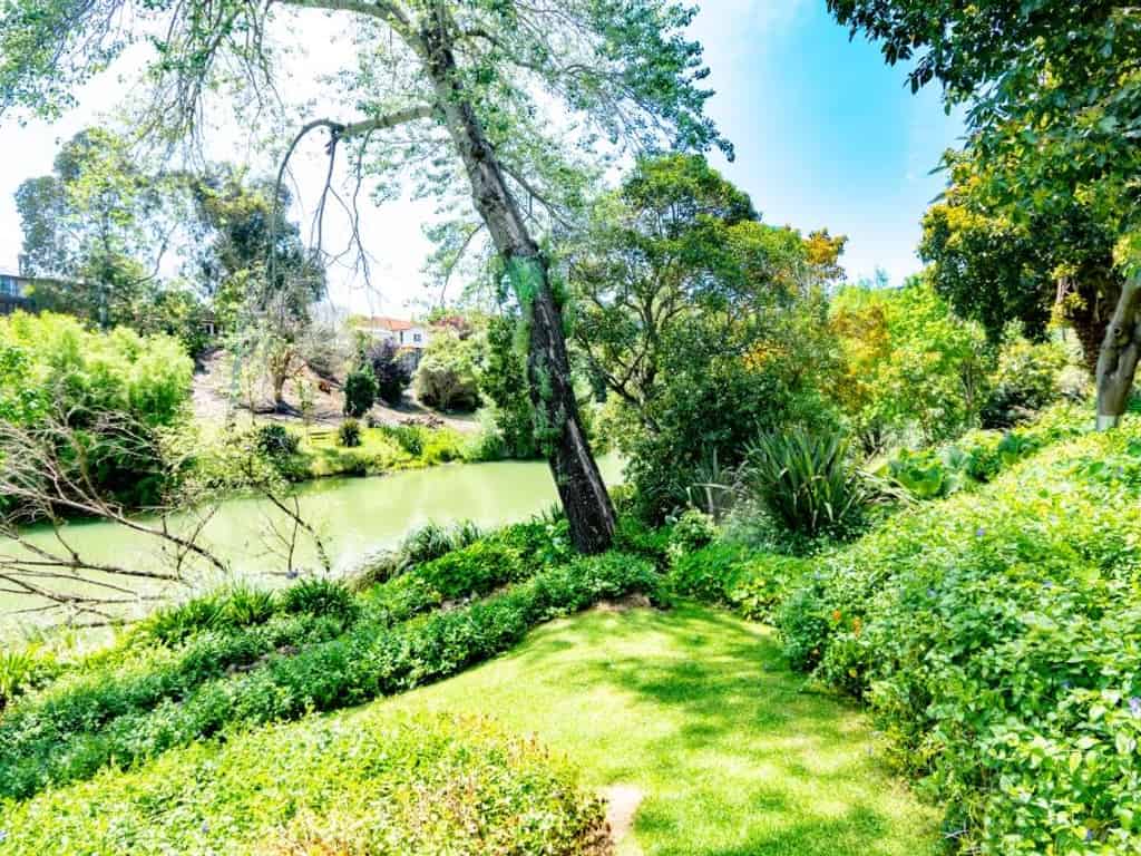 Gisborne Homes and Real Estate for Rent realestate.co.nz