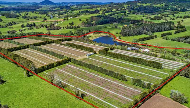 100E Hodge Road, Ruatangata