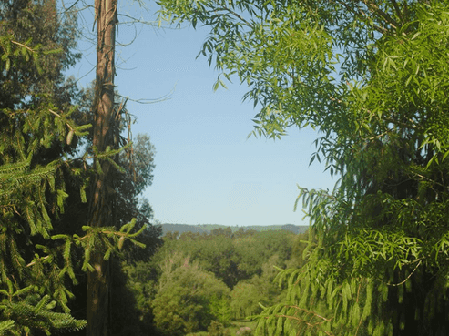 751B Runciman Road, Runciman