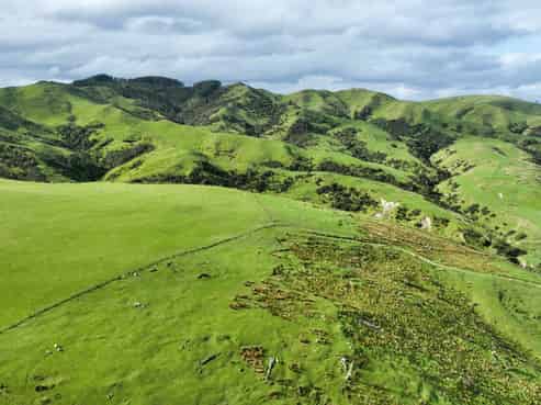 1632 Castle Hill Road, Tinui