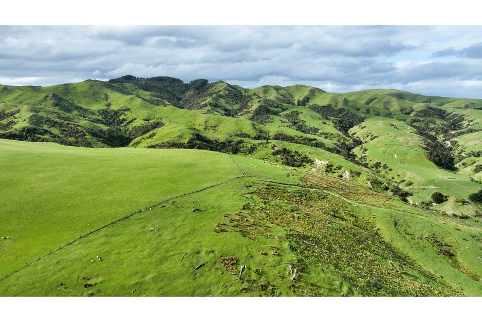 1632 Castle Hill Road, Alfredton, Tararua For Sale realestate.co.nz