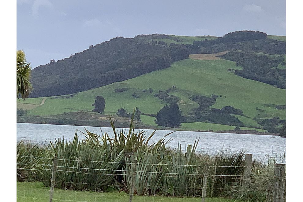 Lakeside Road, Owaka, Clutha For Sale realestate.co.nz