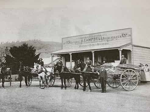 625 Weston-ngapara Road, Enfield and Surrounds