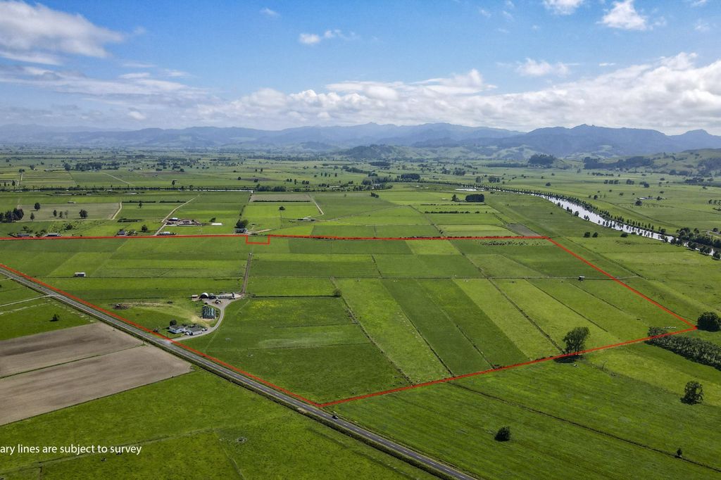 Property value 156 Old Netherton Road, Paeroa realestate.co.nz