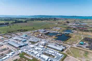 Prime Industrial Development Section
