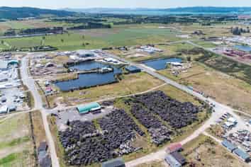 Prime Industrial Development Section