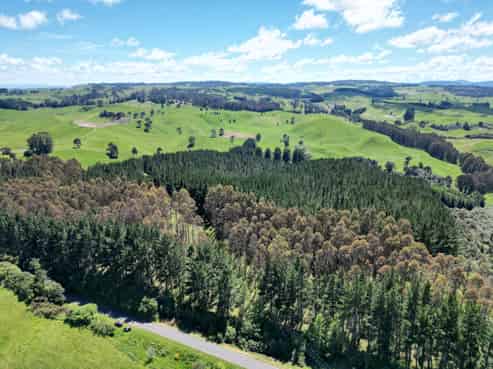 1401 Whangamata Road, Lake Taupo (West)
