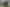 Sealed yard - Central Pukekohe