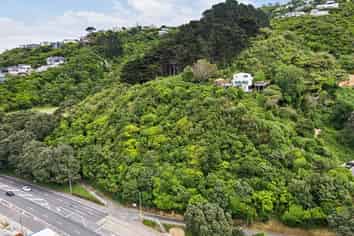1A and 1B Rangiora Avenue, Kaiwharawhara