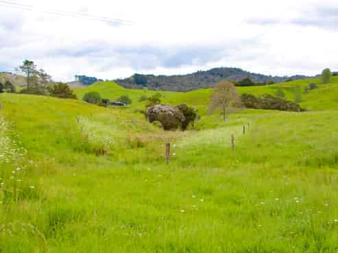 58 Hicks Rd, Broadwood