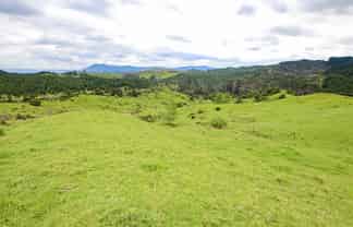 58 Hicks Rd, Broadwood