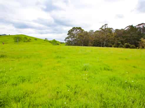 58 Hicks Rd, Broadwood