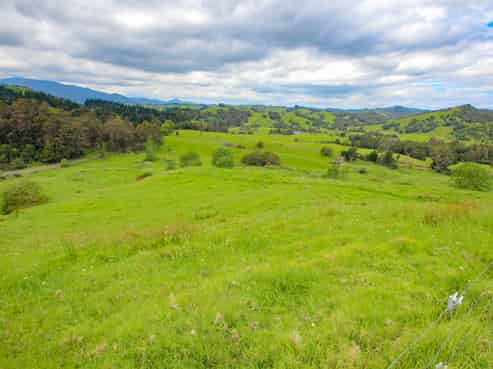 58 Hicks Rd, Broadwood