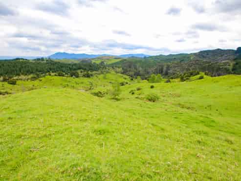 58 Hicks Rd, Broadwood