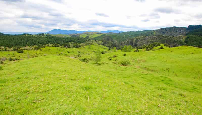 58 Hicks Rd, Broadwood