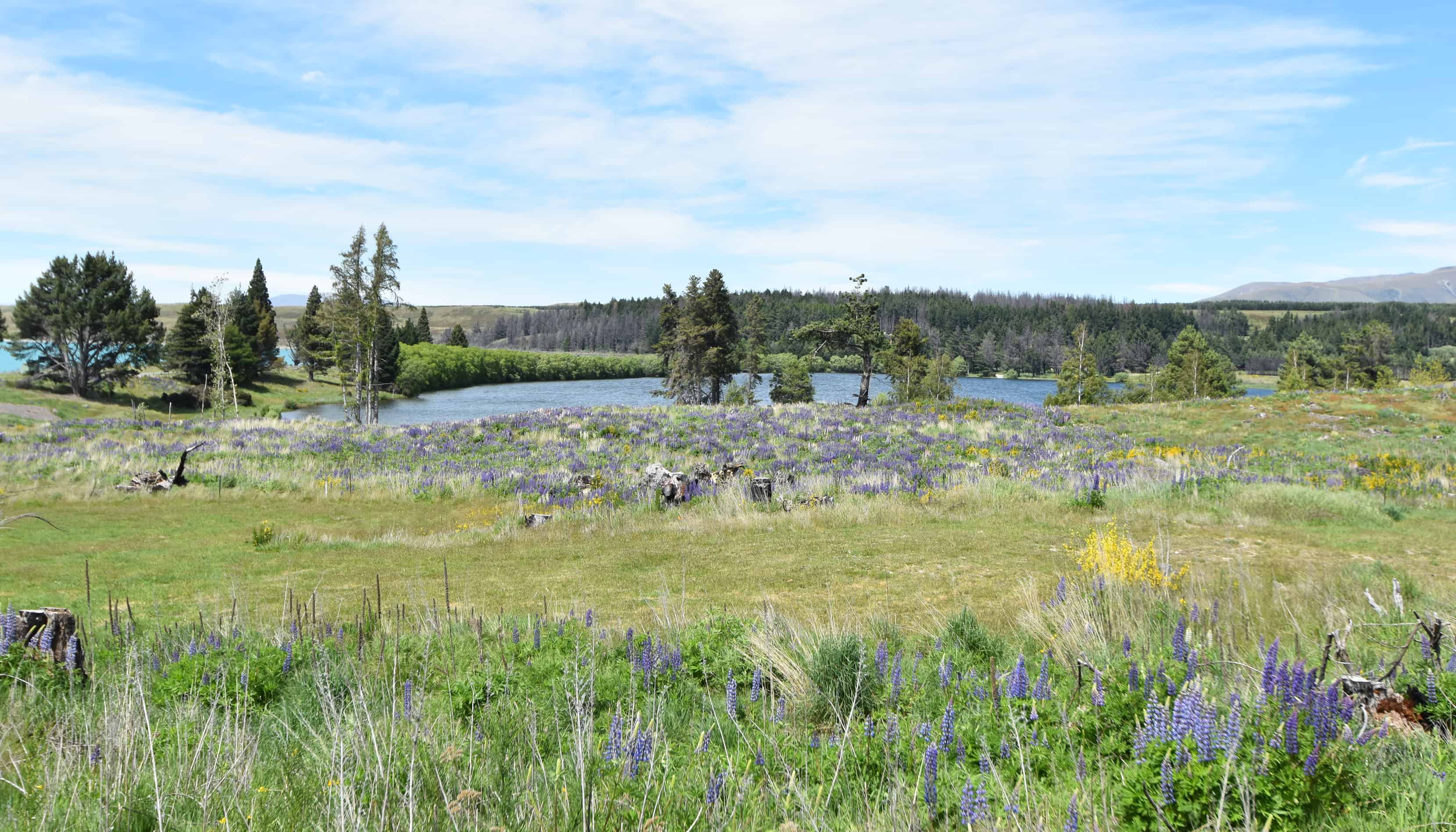 110D Ohau Drive, Lake Ohau, Waitaki For Sale realestate.co.nz