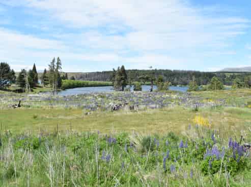 110D Ohau Drive, Lake Ohau