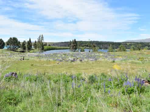 110D Ohau Drive, Lake Ohau