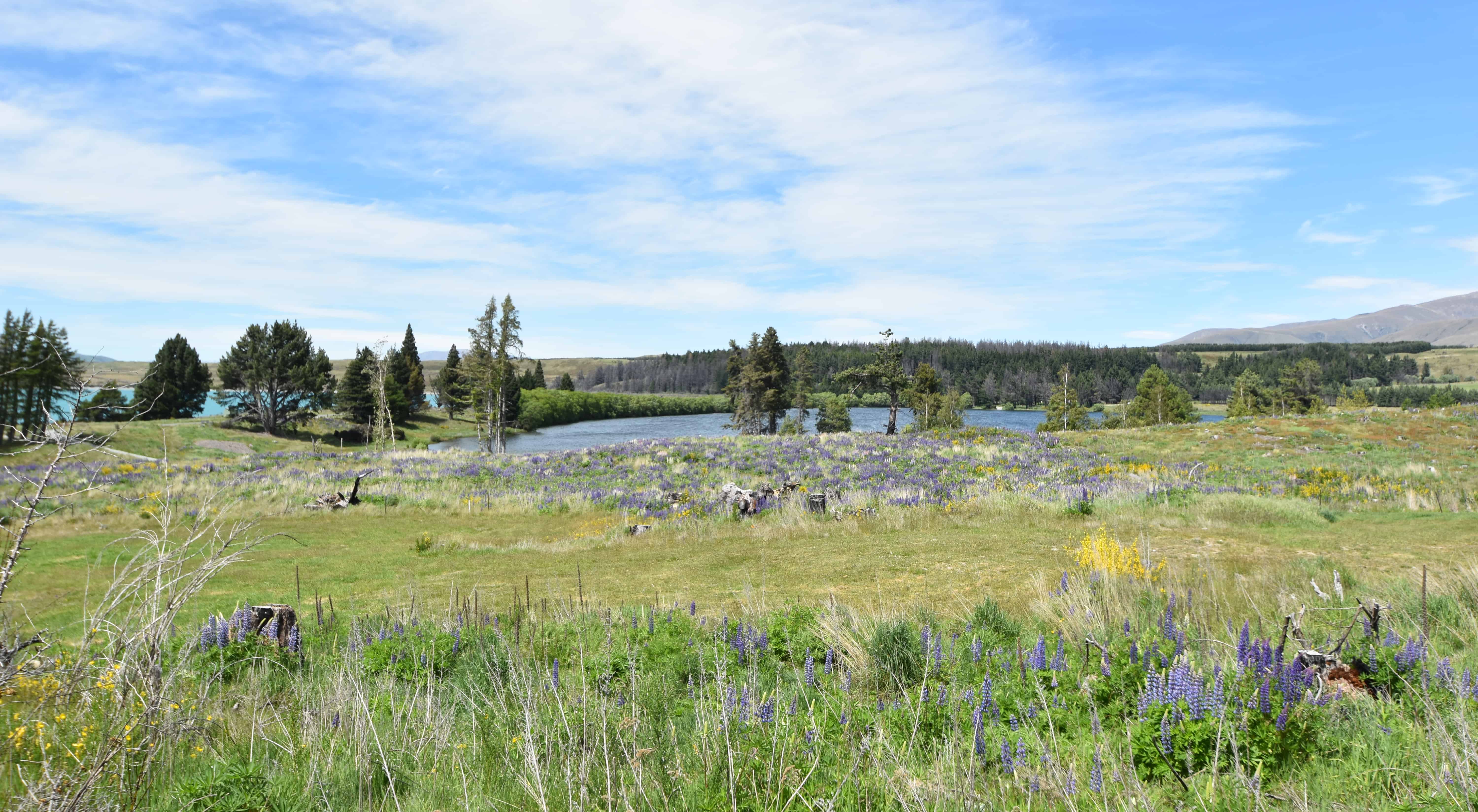 110D Ohau Drive, Lake Ohau, Waitaki For Sale realestate.co.nz