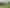 4875 Tiniroto Road, Tiniroto