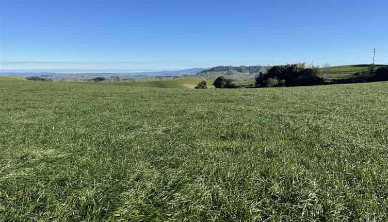 644A Bayley Road, Te Awamutu