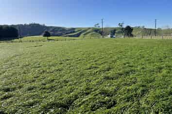 644B Bayley Road, Te Awamutu