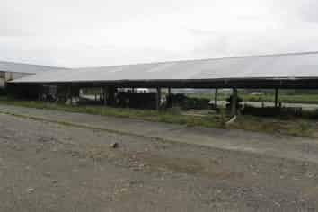 Commercial Property Tuatapere