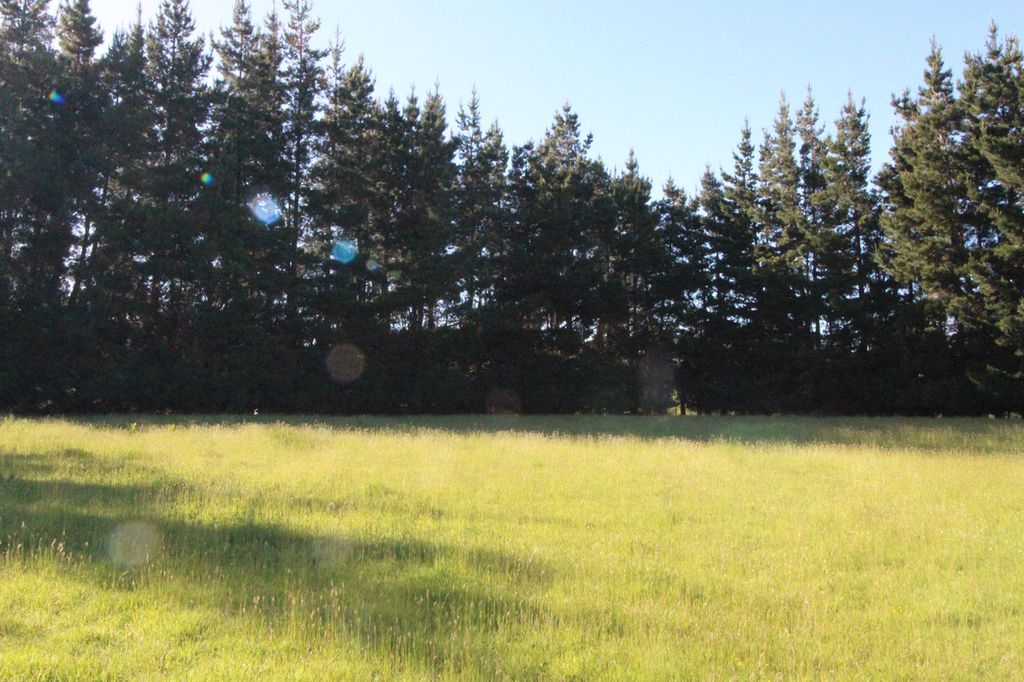 Property value 59 Meadow Street, Lumsden realestate.co.nz