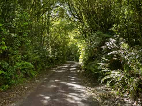 4/617 Oruanui Road, Oruanui