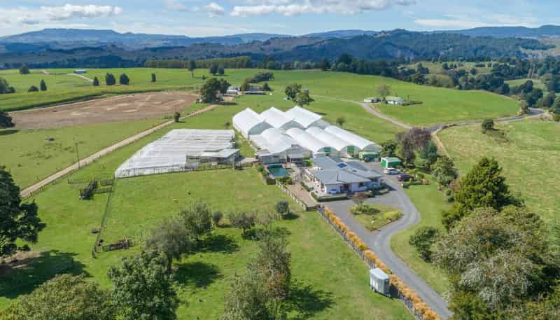 163 Waitea Branch Road, Kakahi