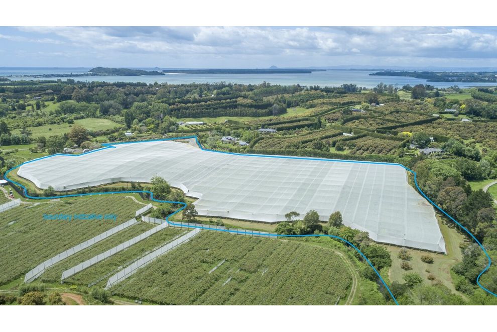 63 Waiau Road, Athenree, Western Bay Of Plenty For Sale realestate