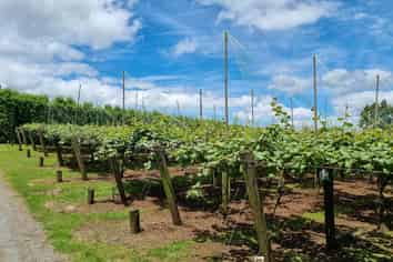 2393 State Highway 10, Kerikeri