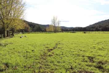 Lot 1 Sawyer Road, Mangonui