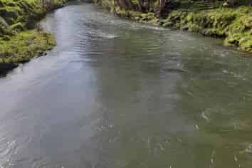 Lot 1 Sawyer Road, Mangonui