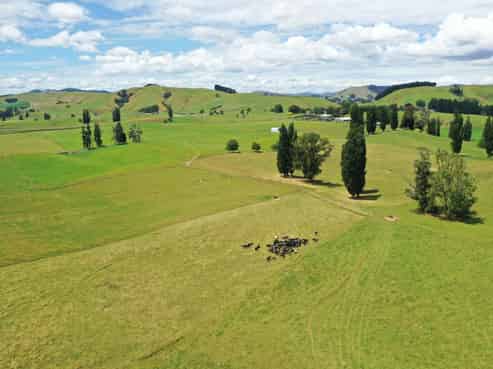 912 Ngahape Road, Maihiihi