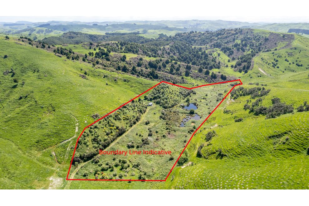 Route 52, Eketahuna, Tararua For Sale realestate.co.nz