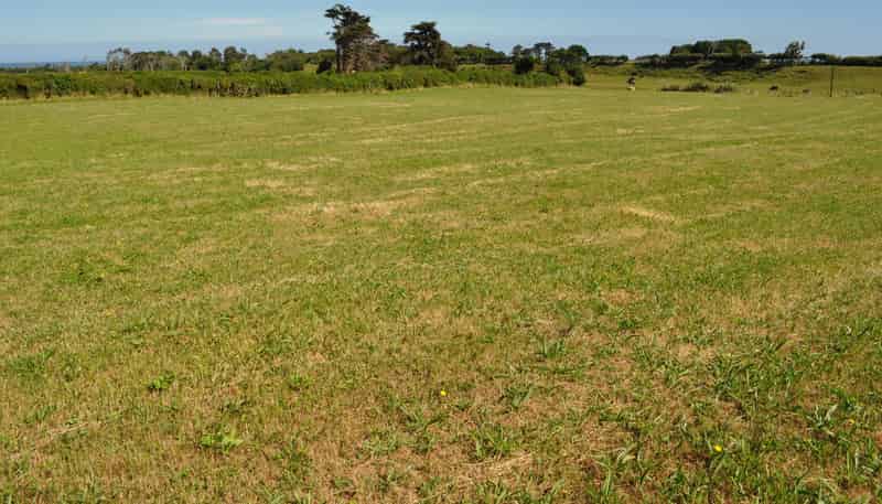  Burgess Road, Warea